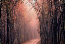 股票開戶去哪個證券公司:配資平臺查詢官網-嘉元科技跨界光模塊 “AI新基建”領域殺入一位鋰電銅箔“老將”